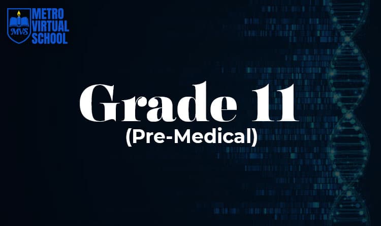 Grade 11 Pre-Medical