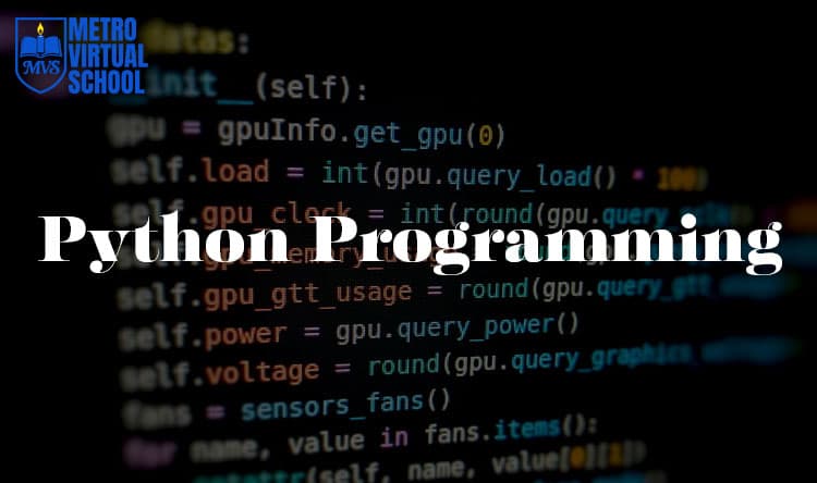 Python Programming