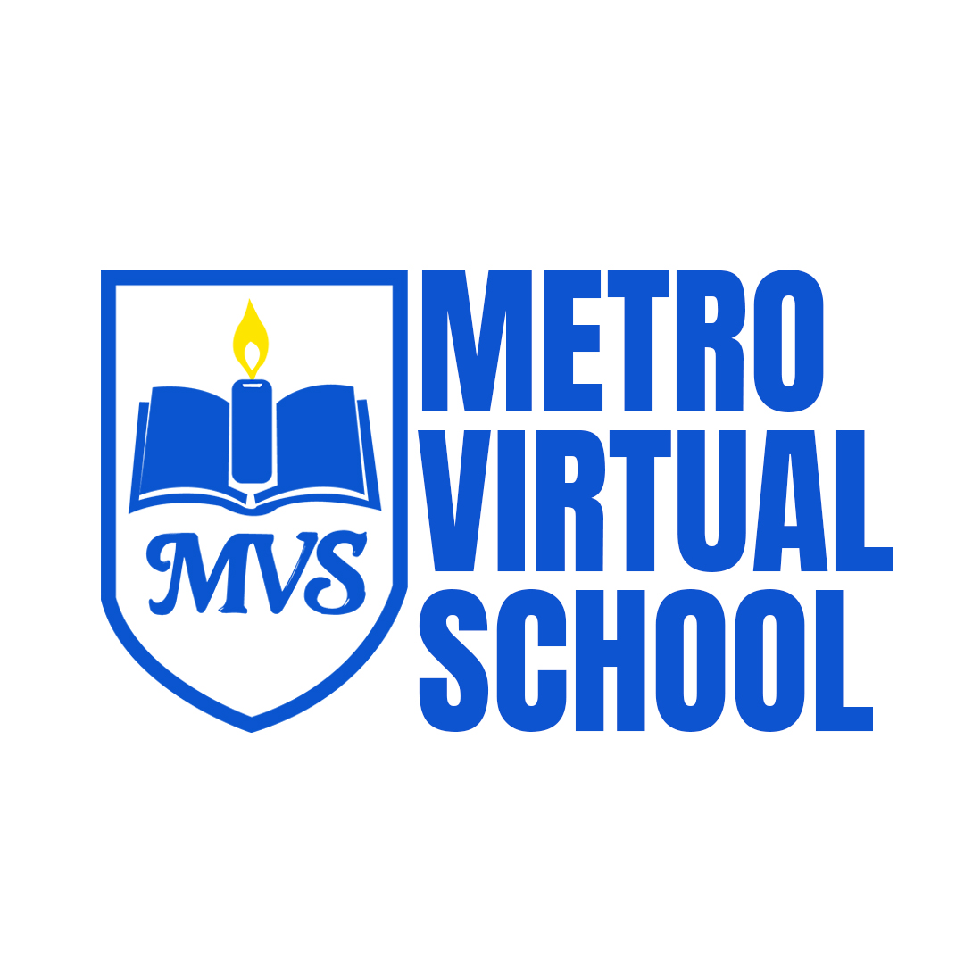 Metro Virtual School Logo